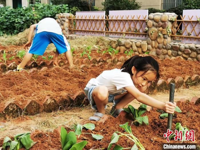 衢州|聚焦浙江衢州“双减”实践：“获得感”成关键词