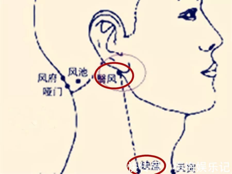 头晕|脖子上有一条大筋，捏一捏，至少可调37种疾病！不可不知！
