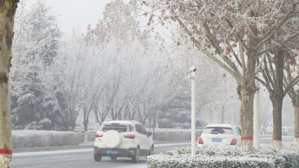 昨晚徐水又悄悄下了一场“雪”！