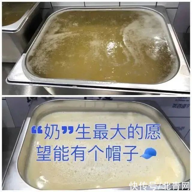 执法人员|宁波姑娘崩溃！奶茶中竟喝出蜘蛛？！这家知名奶茶店又摊上事！很多人每天都在喝