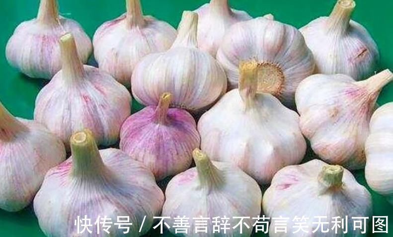 原来保存大蒜这么简单，教您一招，1年不干瘪发芽，不怕蒜涨价了