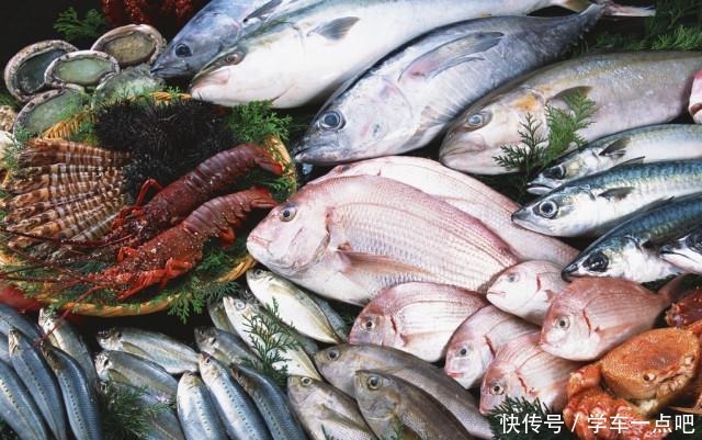 5种“最贵”的海鲜,普通人只有看着的份,土豪也只可能吃过1种