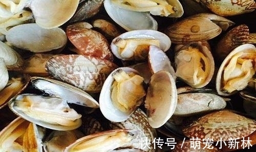 沙子|花甲还在用盐水去沙吗？饭店大厨教一招，2分钟将沙去的干干净净