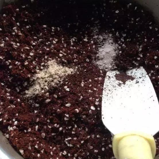 养花土壤“硬邦邦”，撒把“干肥”，瞬间变“肥沃”，养啥花都旺