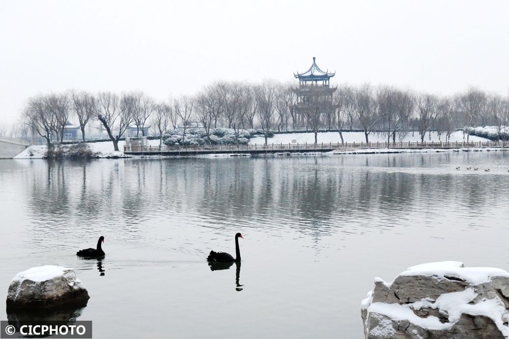 广平|河北广平：雪后天鹅湖美景如画