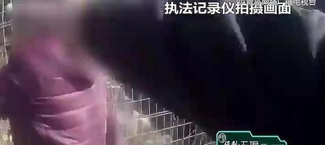 事件|山東發(fā)生一起事件，位置在青島，竟是為了挖野菜！