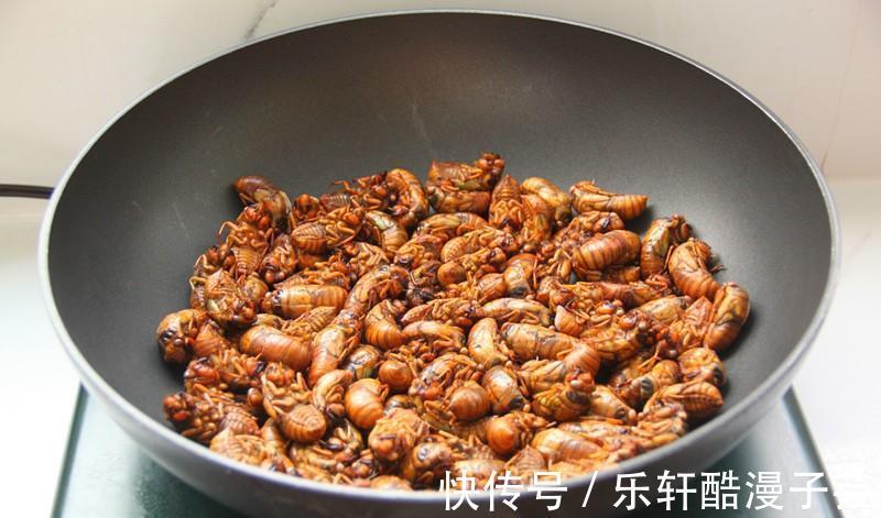 脱壳|天变冷之前,树上这个美味赶紧吃,高蛋白,错过了还要再等明年