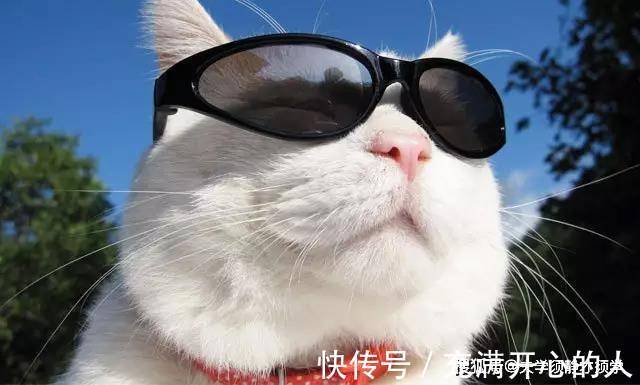 |搞笑段子:我前女友突然发来信息,问道:你现在还好吗