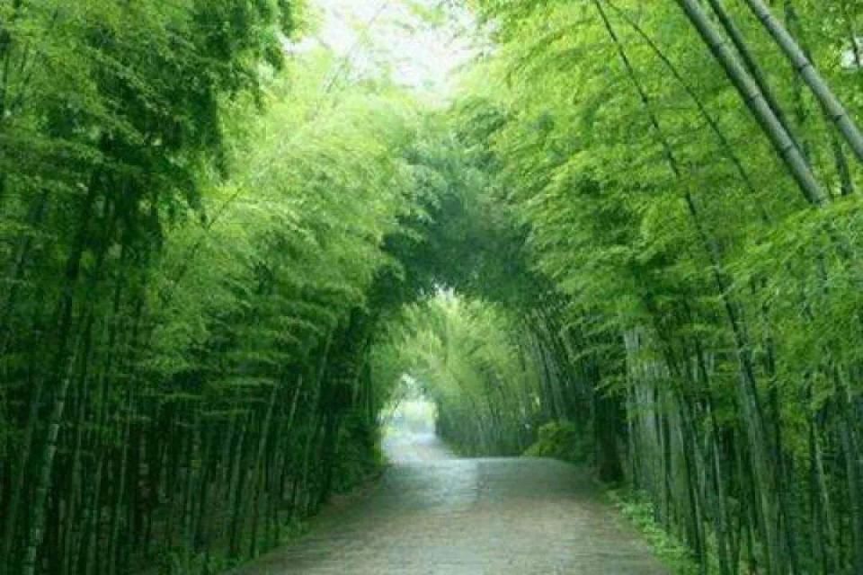 可怕|频婆娑罗王的牢房有多可怕?寓意是什么?竹林精舍到底有多美?