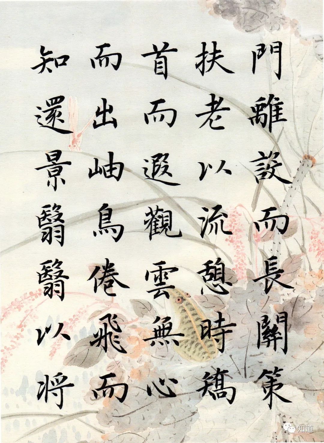 归去来兮辞&书法不可以自学,自学就等于自杀。书法培训老师都这么说