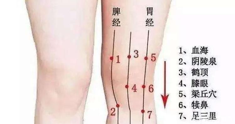 祛寒止痛|膝盖，人体中转站只需2招，祛寒止痛、引血下行，激活全身气血