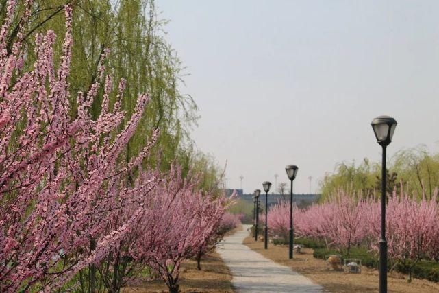 是去花海里畅游，还是去寻味历史，这个地方你说了算