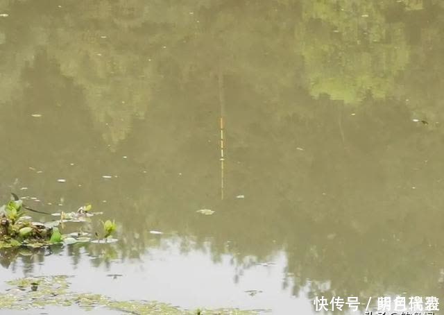 鲢鳙|为什么钓浮总没有收获?多半是你用错了地方,野钓要这样用才对