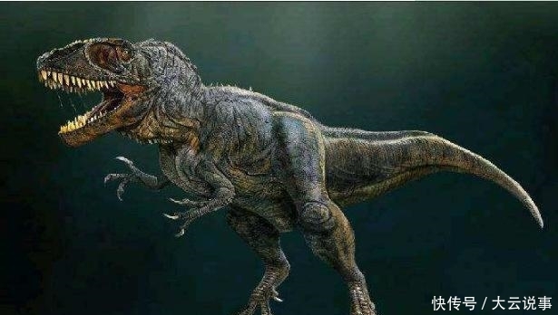 地球上10大食肉恐龙 霸王龙居榜首 迅猛龙和蛮龙也上榜 快资讯 地球上10大食肉恐龙 霸王龙居榜首 迅猛龙和蛮龙也上榜 快资讯