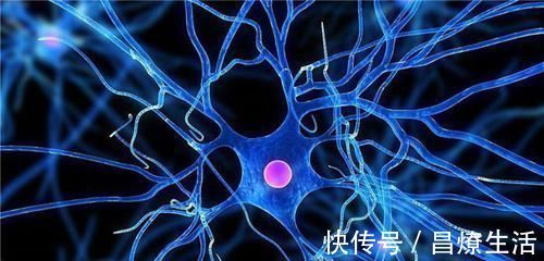 血管|脑部供血不足？3种美食刚好“克制”，血管干净，脑梗离你远远的