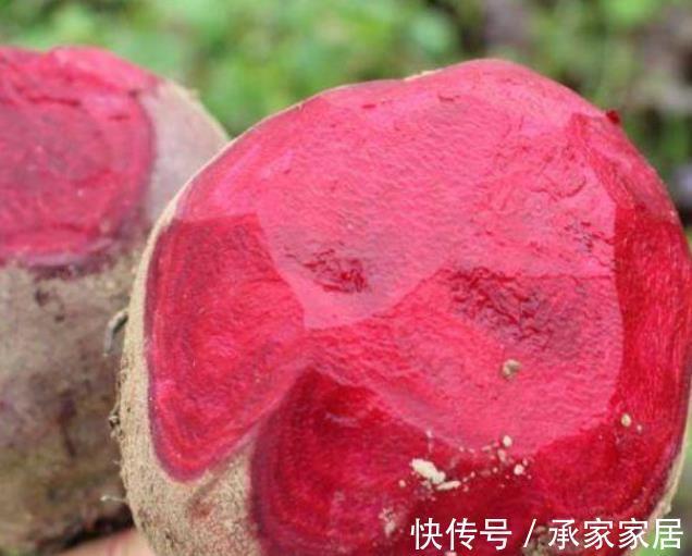 甜菜根|大热天，不妨多吃几种食物，开胃消食，排毒通便，早吃早好