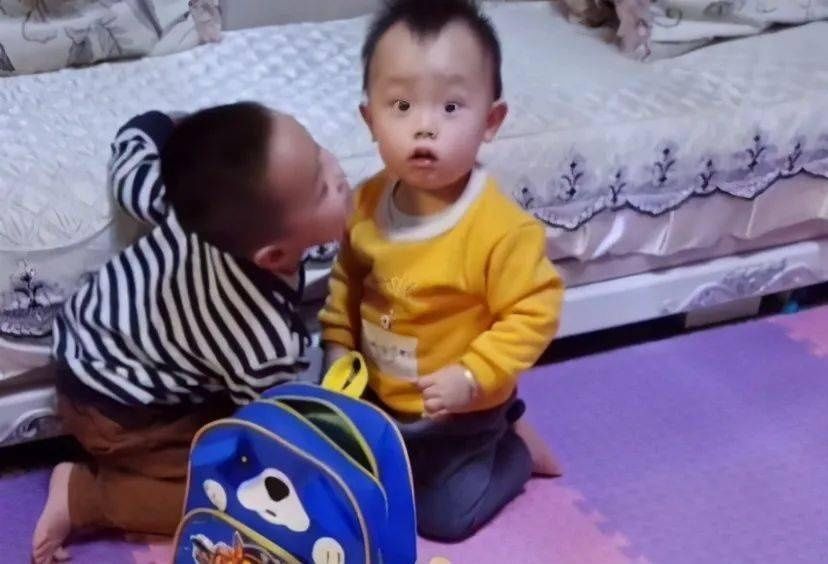 书包|萌娃“偷吃”被哥哥逮个正着，那无处安放的“慌乱小眼神”暖化了
