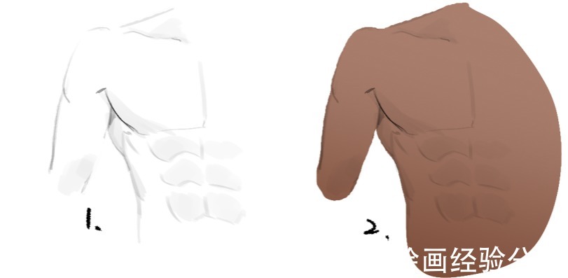 灵猫课堂|练不出腹肌我们可以画腹肌！教你腹肌上色的画法技巧！