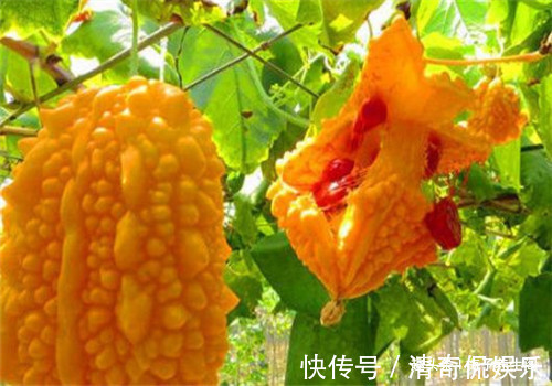 米糊|想长寿要先排毒,多吃4种食物,排出毒素,清理垃圾,养护血管