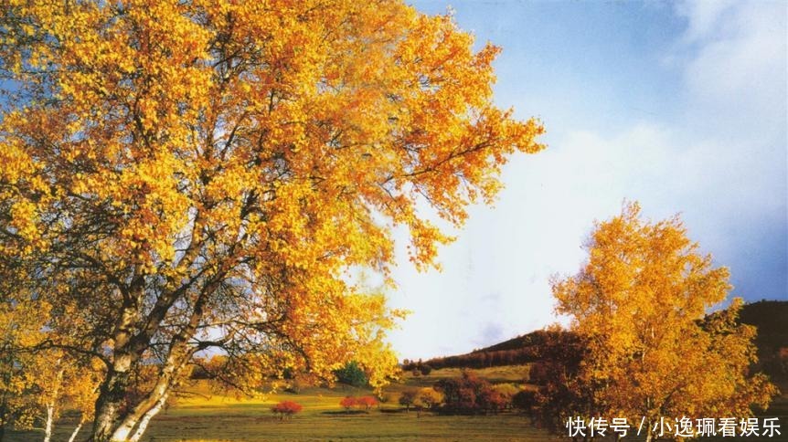 指桑骂槐|文娱界名人神仙打架,姜文为劝架写下一首诗,指桑骂槐的功夫一流