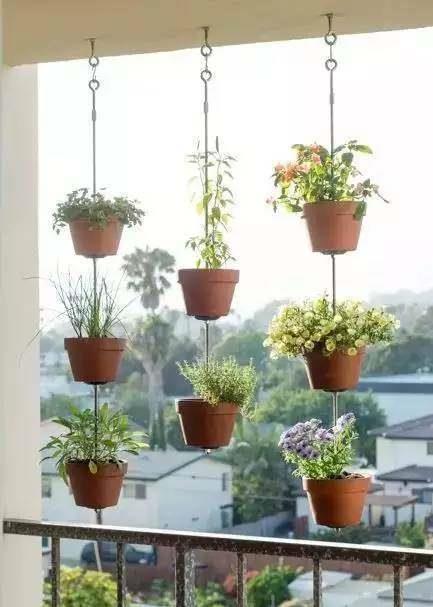 空中|房子小,咋养花?那就造一个空中花园