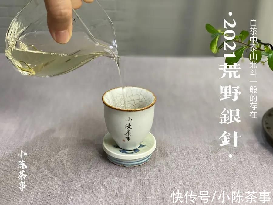 茶叶$常喝白茶的老茶客，整理的投茶量标准，盖碗、玻璃杯、煮茶壶齐了