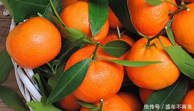 水果营养丰富促健康,营养师:以下4种水果蒸着吃,功效翻倍