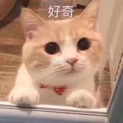 王源|《奇异剧本鲨》收官！二幕剧本被触发高能不断，金靖调侃自己“不进则退”！