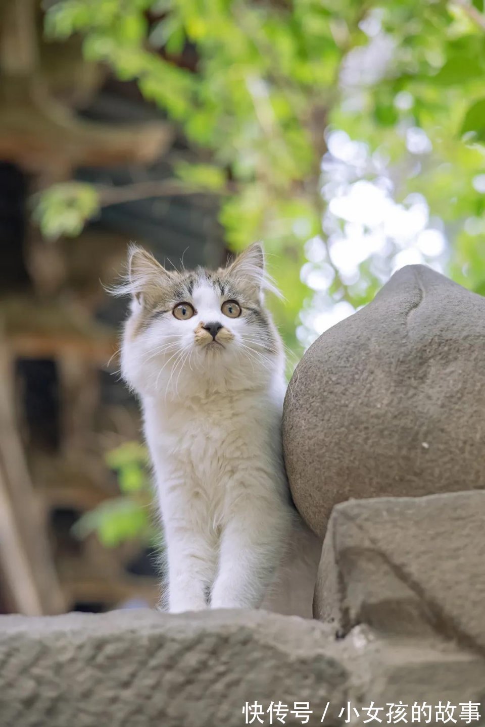 |【被窝段子20210910】好听的话别当真,难听的话别较真,认真你就输了