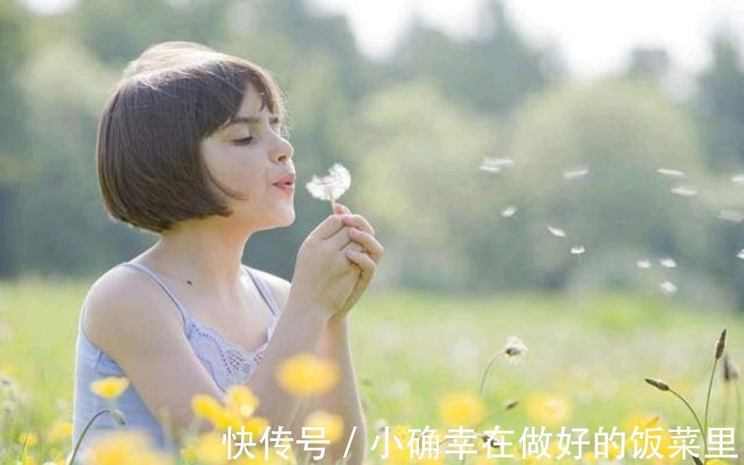 凉拌蒲公英|蒲公英的叶子、根茎、花泡水喝，作用是否一样呢请记住两个不喝