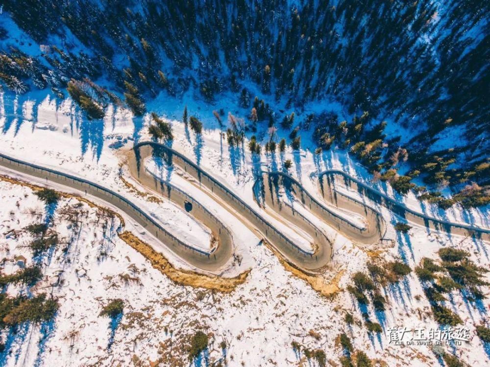 骏马|@丁真，可可托海的雪山和你的骏马更配哟！