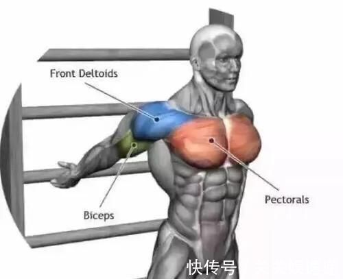 上胸|上胸发力总不好、练不大,原来是因为“它”,我们应该如何改善