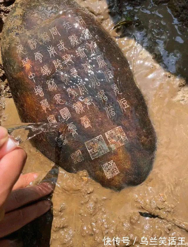 |小白段子社34:这两拨人打架,哪边的胜率更大?