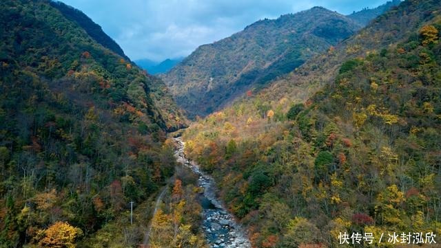 秘境|媲美光雾山！平武这条沟，藏着一个惊艳的彩林秘境！