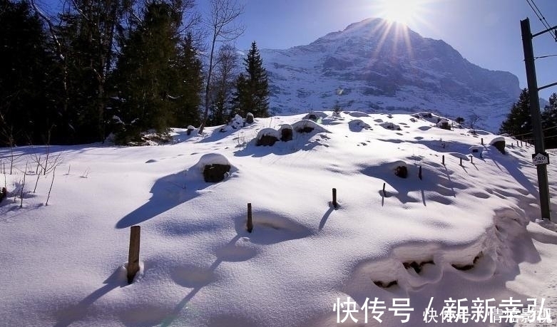 出人头地|这两个星座最懂得努力的作用，不会贪图享乐，终究会出人头地