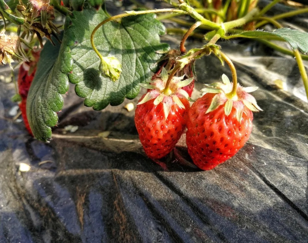 酒舫@《唐诗三百首》中最能治愈人心的六首诗,如果累了,就读一读吧!