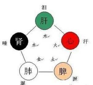 心为汗，肺为涕，肝为泪，脾为涎，肾为唾，从五液看五脏健康