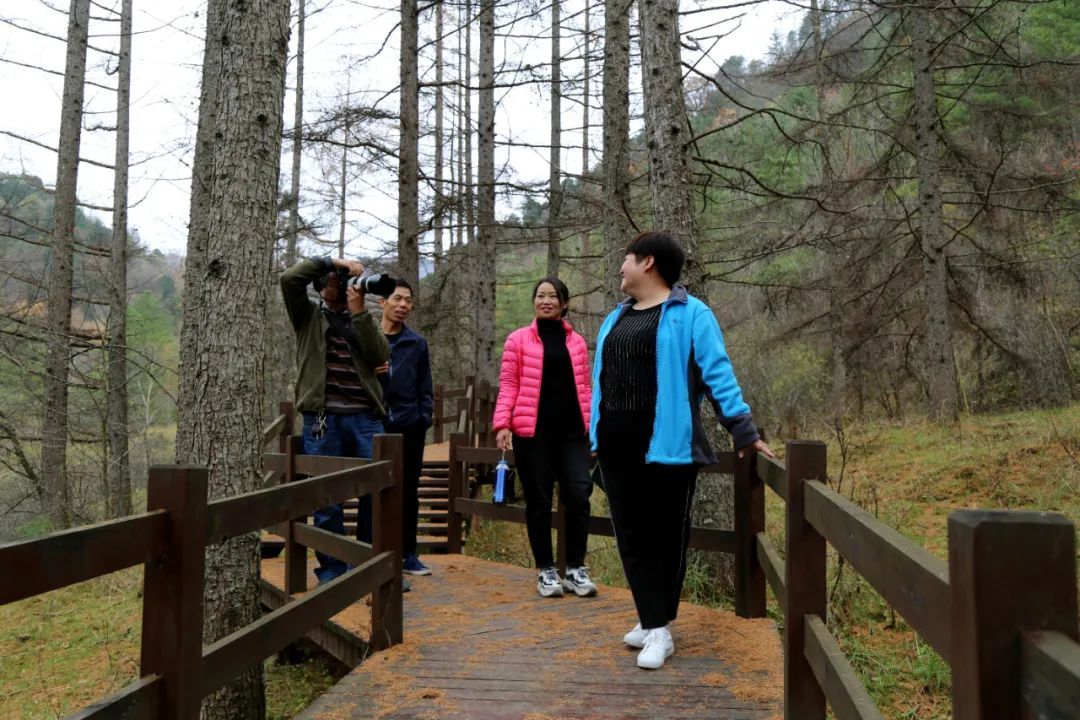  游客|探寻留坝秋季旅游爆红背后的秘密一：全域旅游，全域皆景