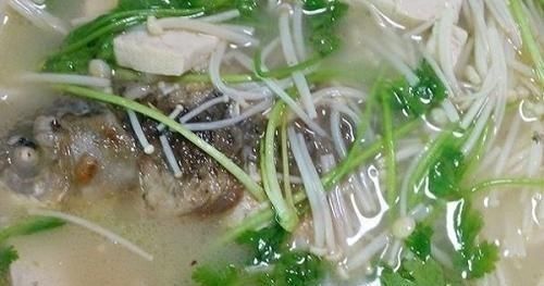 鲫鱼肉肥汁多，营养丰富，不仅可改善睡眠质量，还能使皮肤变弹性