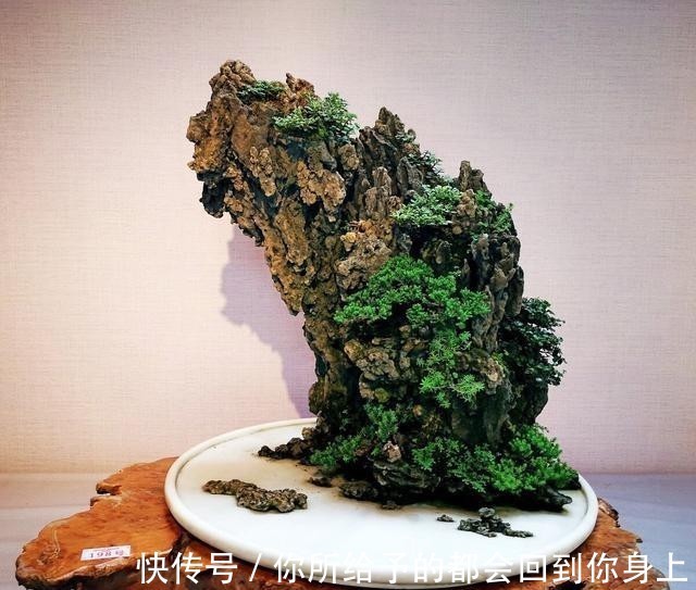 家庭|家庭盆景正确的摆放姿势,从4个方面来考虑,解决盆景放置的窘境