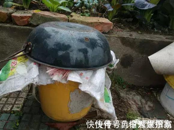 脱盐|这2种“壳”丢了太可惜,埋花土里3年不板结,种什么花都旺!