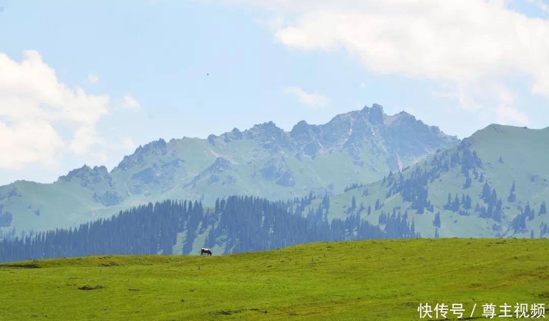 喝牛奶|广东女孩到新疆旅游，在天山下牧民村呆了半个月，每天喝牛奶吃馕