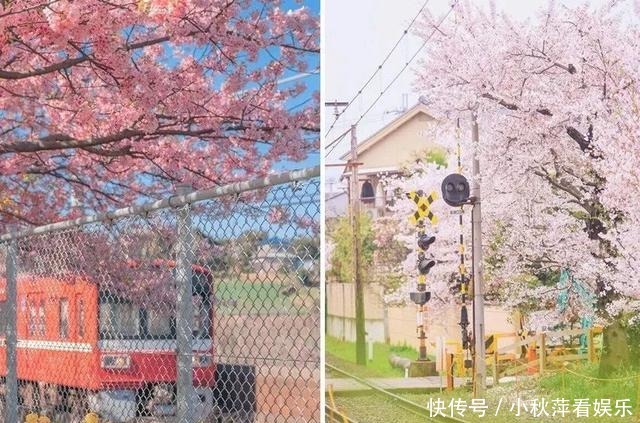 粉色|今夏穿“初恋色”也太美了!清新又甜美,还很显白