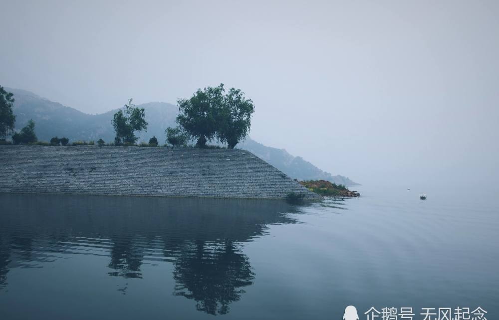 内容|北宋名画《清明上河图》内容丰富,包罗万象,为何却不见马和羊?