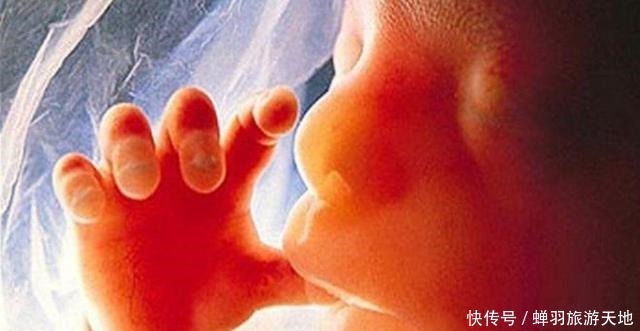 活动|除了睡觉胎宝一天都干啥医生胎儿“娱乐活动”丰富,忙到飞起