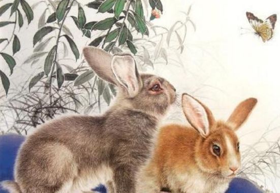 添丁添福|兔兔兔喜报喜报属兔人“大喜临门”你是不是傻,天喜来了接