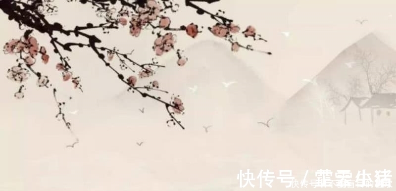 唯美&杜甫的这首《江梅》,也是不应该被忽略,写出了最深情的梅花!