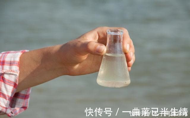 时机|传统钓抬竿时机的把握,增加鱼获只需掌握这几点