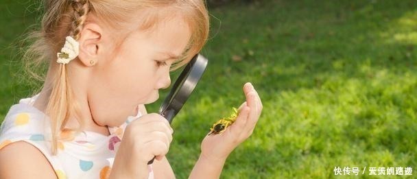伤仲永|在幼儿园里有这3种特质的孩子,大多是学霸苗子,你家娃有吗?