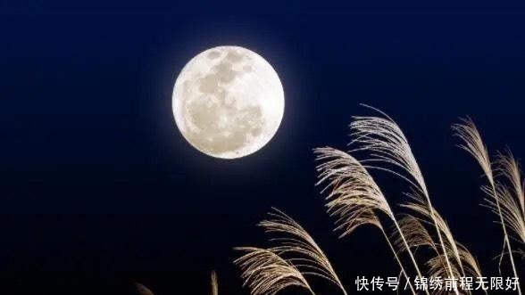 其间|《剑来》阮秀的那一回眸,谁会其间意